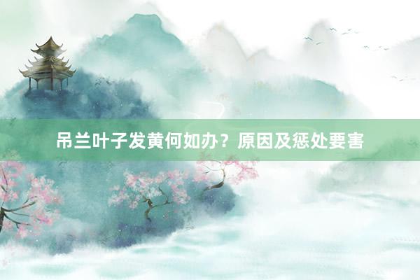 吊兰叶子发黄何如办？原因及惩处要害