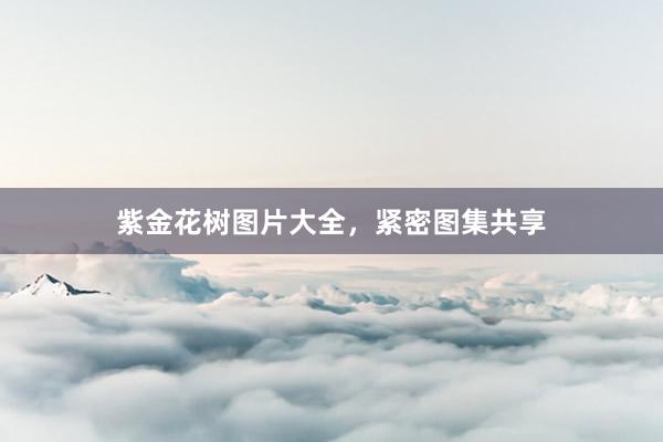 紫金花树图片大全，紧密图集共享