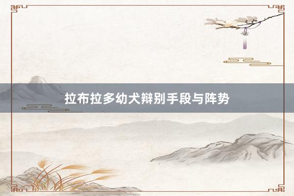 拉布拉多幼犬辩别手段与阵势