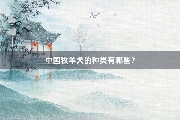 中国牧羊犬的种类有哪些？