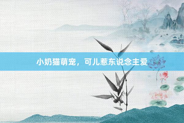 小奶猫萌宠，可儿惹东说念主爱