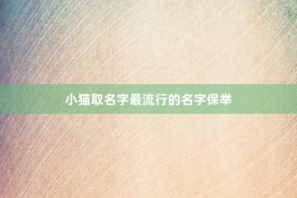 小猫取名字最流行的名字保举