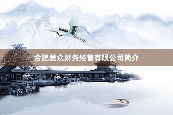合肥慧众财务经管有限公司简介